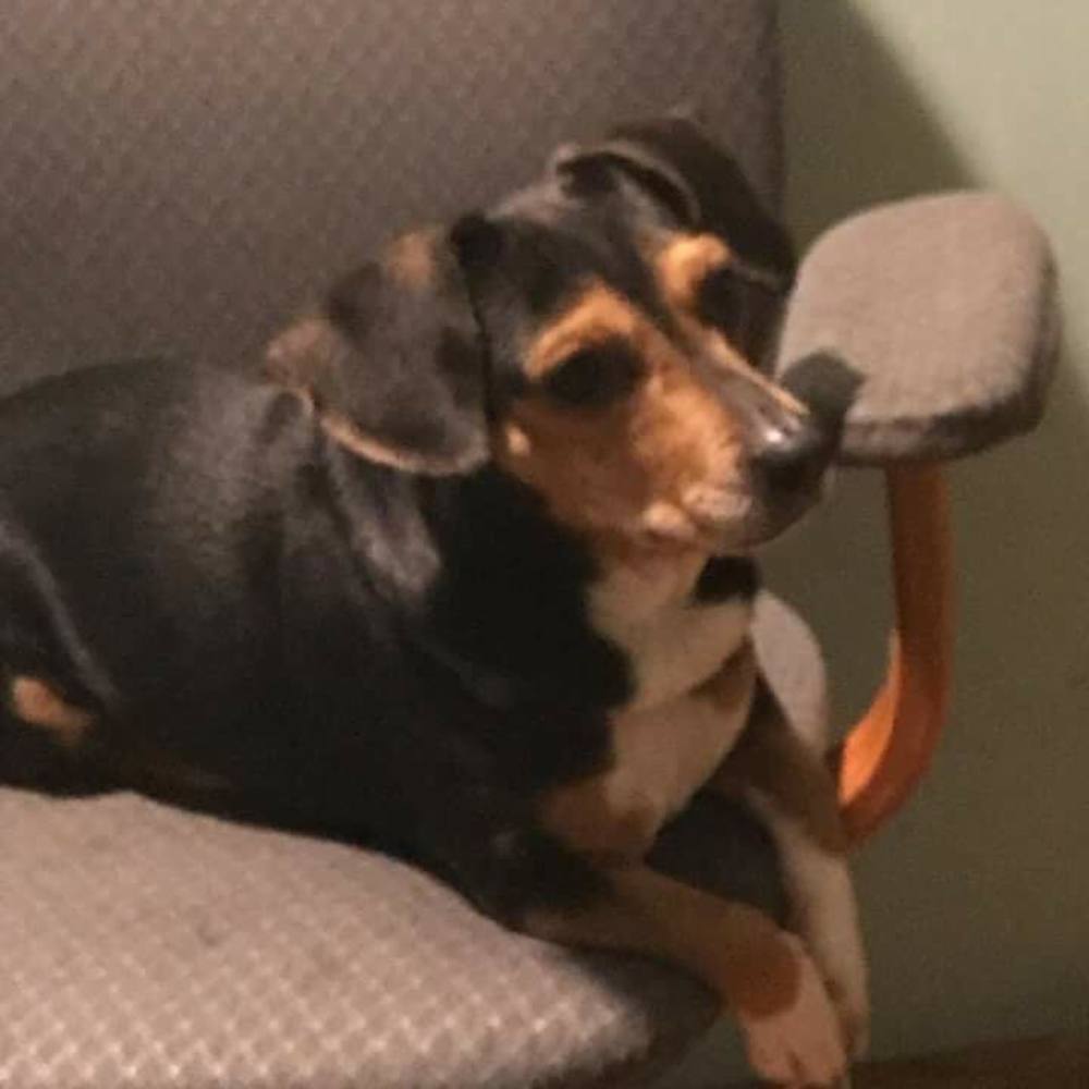 Meet your Posher, Shanell